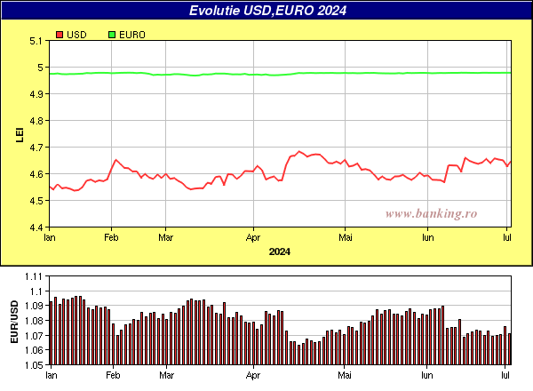 grafice evolutie curs BNR Euro,USD