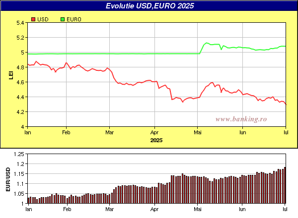 grafic evolutie curs BNR Euro,USD 2024